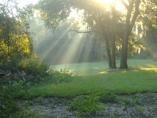 Backgrounds Scenic A (24)