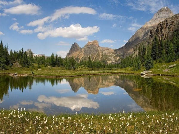 Backgrounds Scenic B (12)_thumb