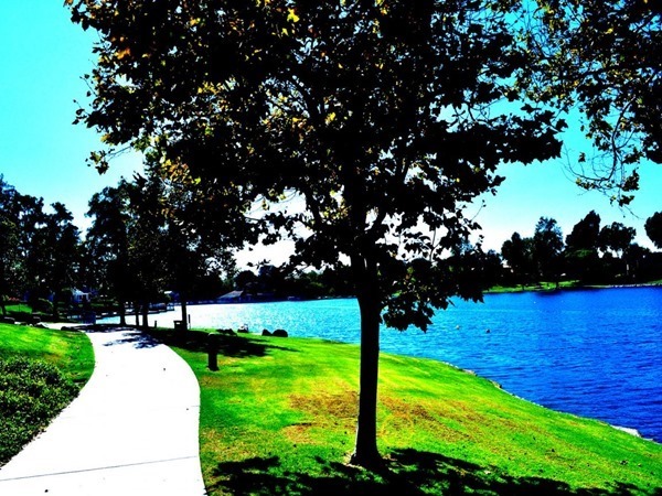 Backgrounds Scenic A (14)_thumb