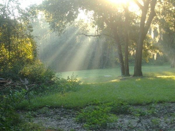 Backgrounds Scenic A (24)_thumb