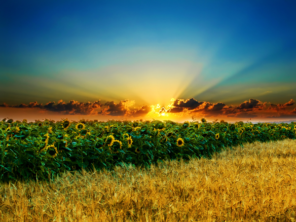 Backgrounds Scenic A (26)_thumb