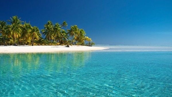 Backgrounds Scenic A (5)_thumb