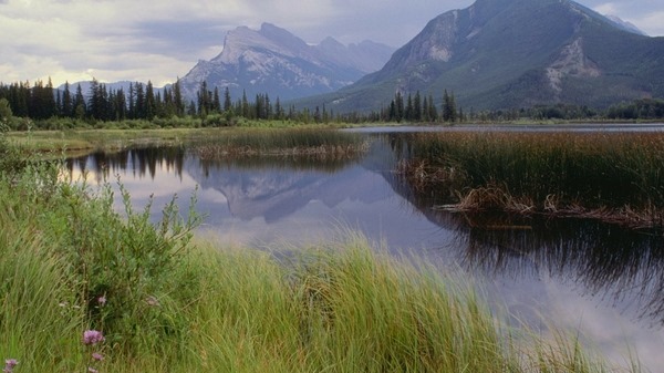 Backgrounds Scenic B (15)