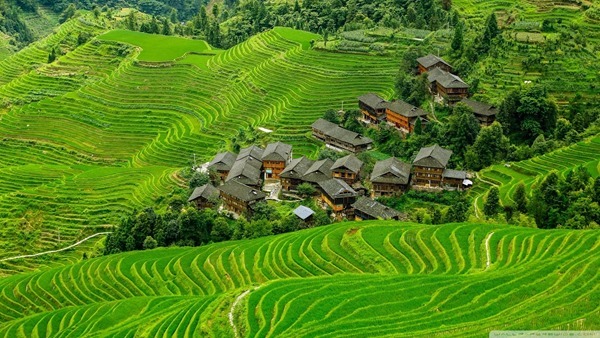 Backgrounds Scenic B (21)