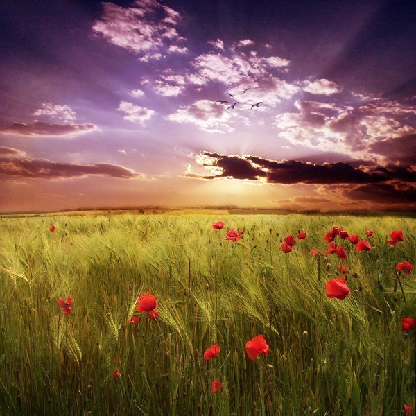 Backgrounds Scenic A (4)