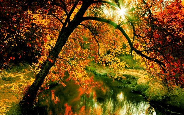 Backgrounds Scenic B (26)