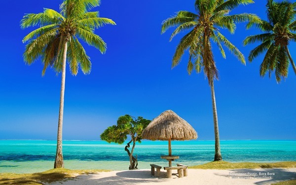 Backgrounds Scenic A (23)