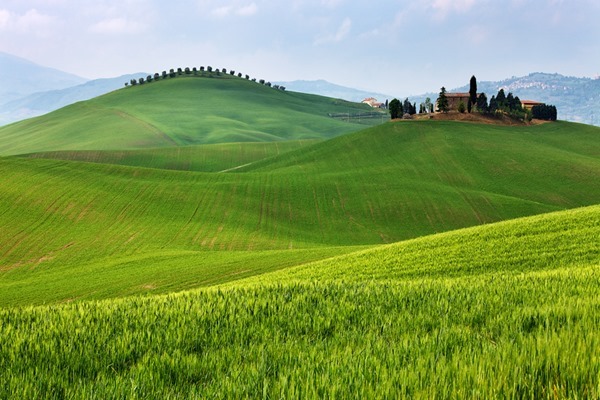 Backgrounds Scenic A (29)