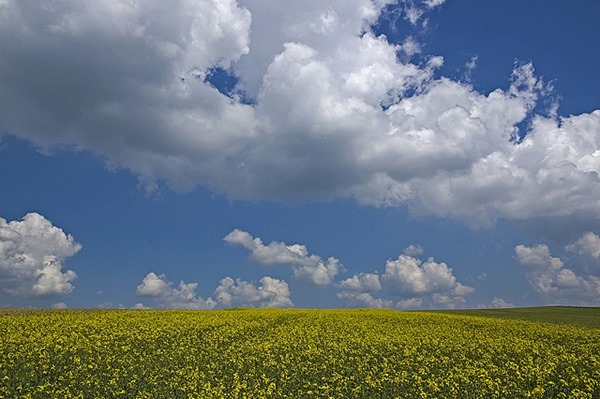Backgrounds Scenic A (6)