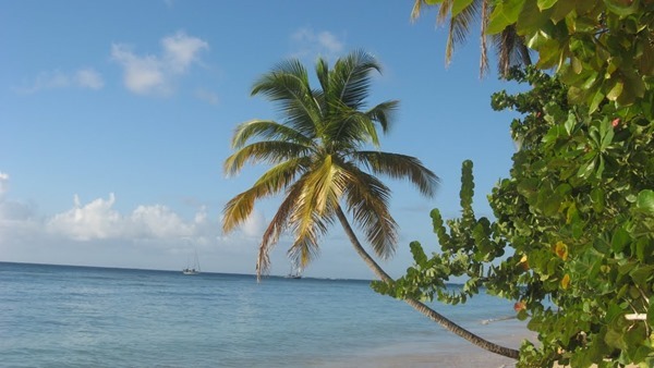 Backgrounds Scenic A (9)