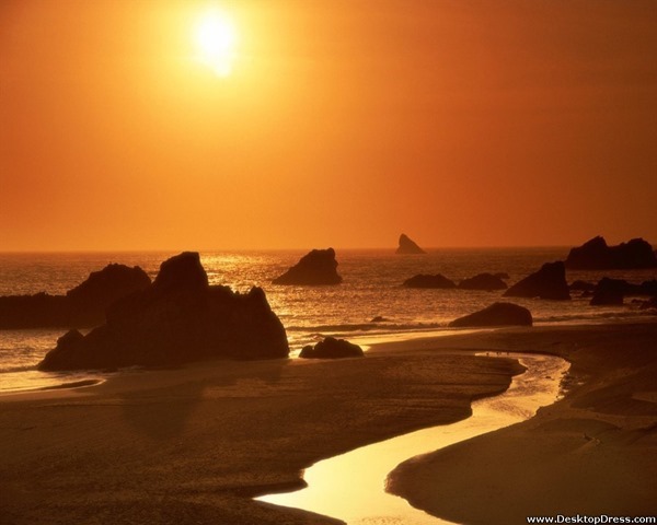 Backgrounds Scenic B (19)