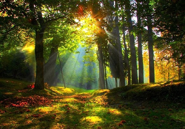 Backgrounds Scenic B (29)