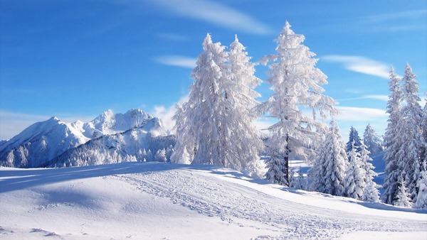 Backgrounds Scenic B (2)
