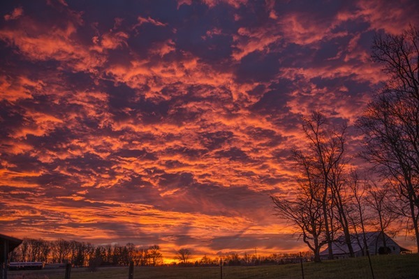 Backgrounds Scenic B (5)