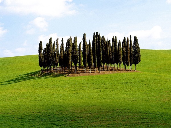 Backgrounds Scenic B (7)