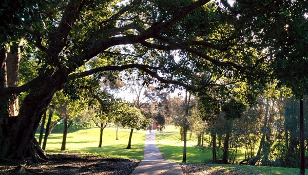 Backgrounds Scenic A (10)