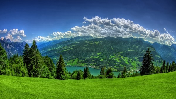 Backgrounds Scenic A (18)