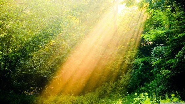 Backgrounds Scenic A (19)