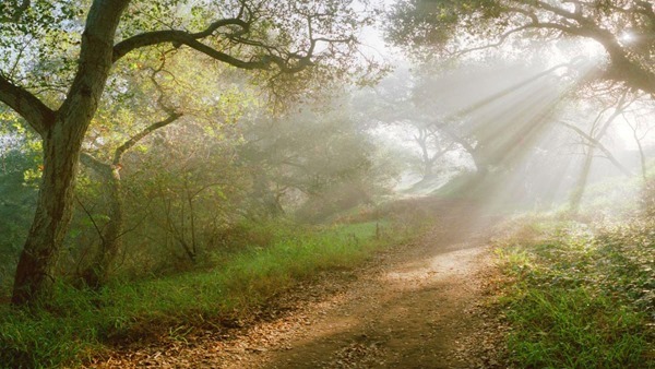 Backgrounds Scenic A (20)