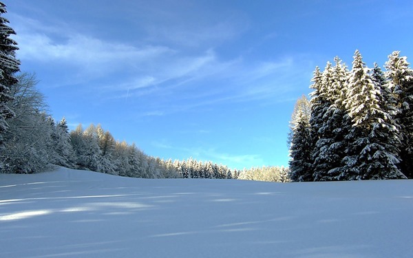 Backgrounds Scenic A (28)