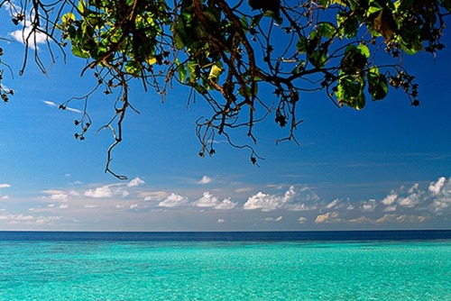 Backgrounds Scenic A (3)