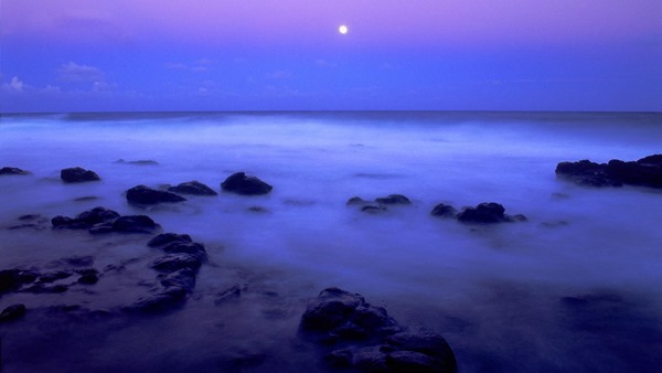 Backgrounds Scenic B (18)