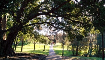 Backgrounds Scenic A (10)