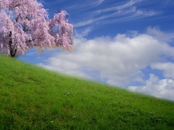 Backgrounds Scenic A (12)