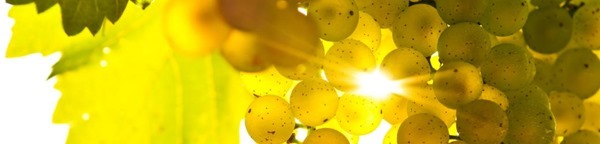 Autumn September Headers (6)